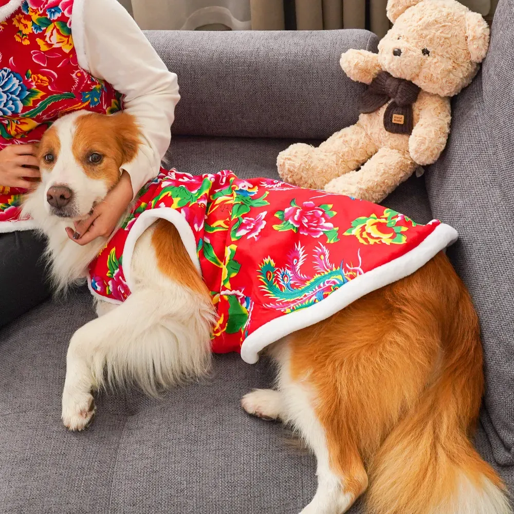 Winter Clothing Name - Pakaian anjing musim dingin 2025, pakaian