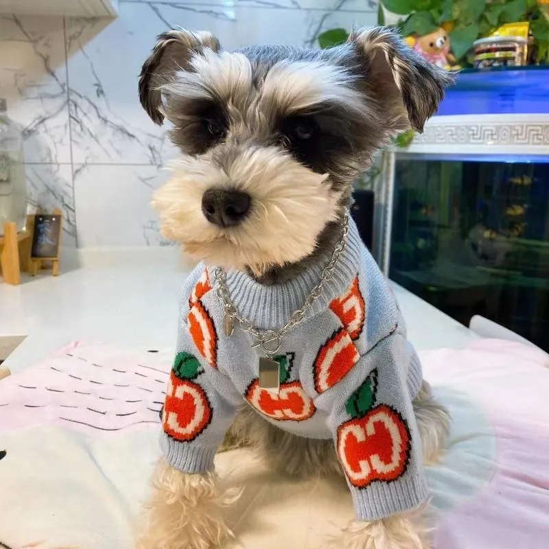 Baju Sweater Anjing Bahan Katu - Winter Clothing For Toddlers ulasan dan harga