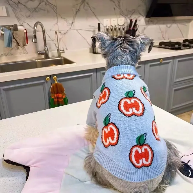 Baju Sweater Anjing Bahan Katu - Winter Clothing For Toddlers ulasan dan harga