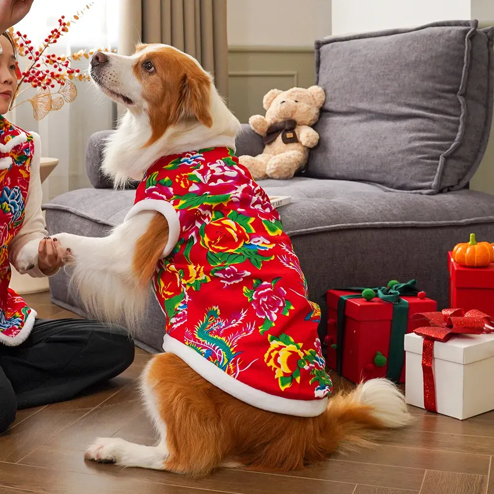 Pakaian anjing musim dingin 20 - Winter Clothing Name ulasan dan harga
