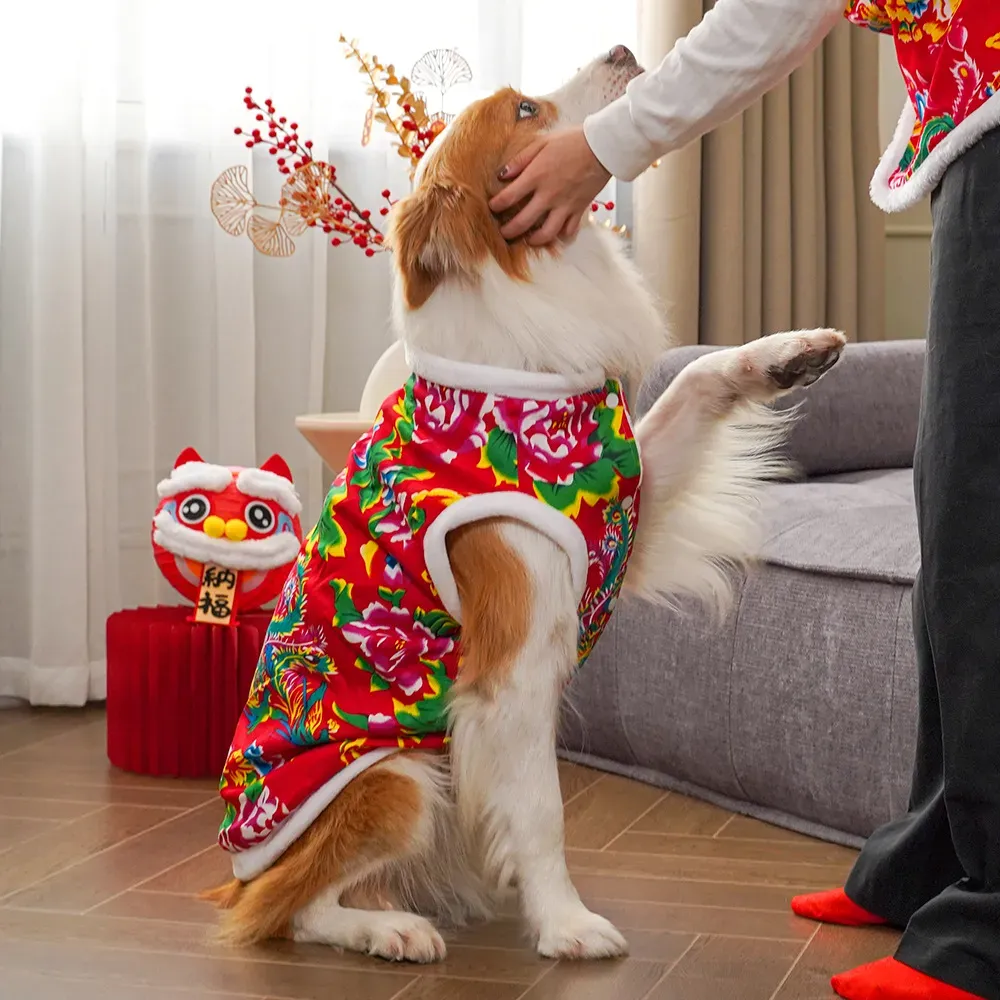 Pakaian anjing musim dingin 20 - Winter Clothing Name ulasan dan harga