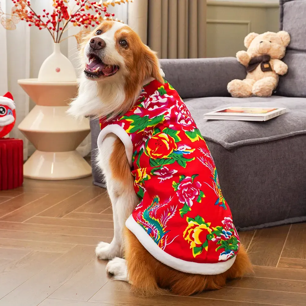 Pakaian anjing musim dingin 20 - Winter Clothing Name ulasan dan harga
