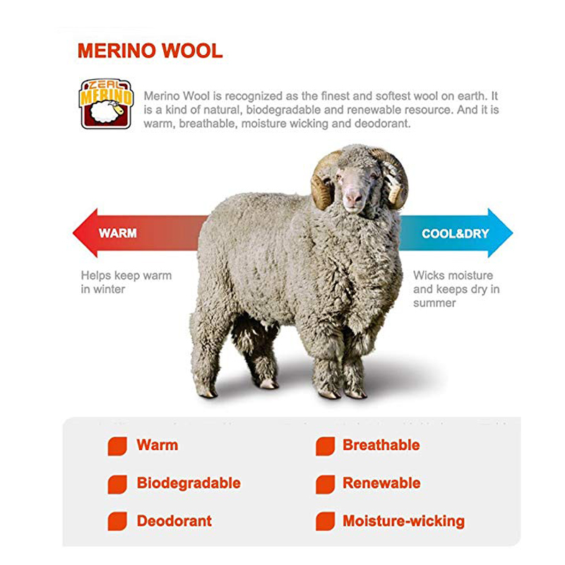 ZEALWOOD kaus kaki Trekking Pr - Thermal Sock Merino ulasan dan harga