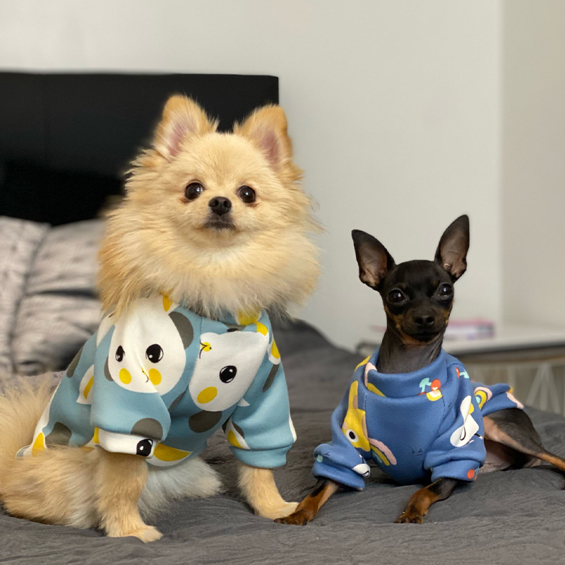 Pakaian Anjing Xs untuk Anjing - Winter Clothing For Toddlers ulasan dan harga