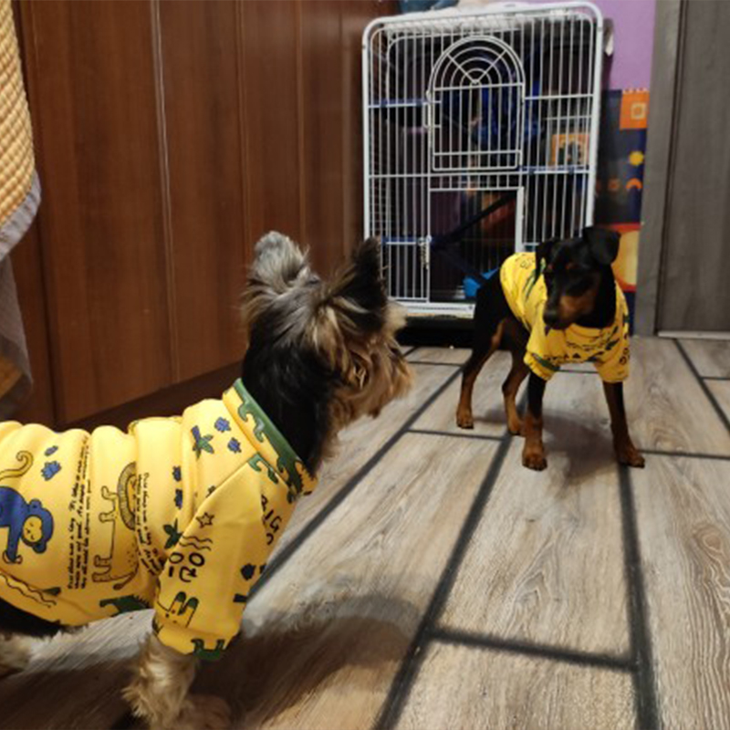Pakaian Anjing Xs untuk Anjing - Winter Clothing For Toddlers ulasan dan harga