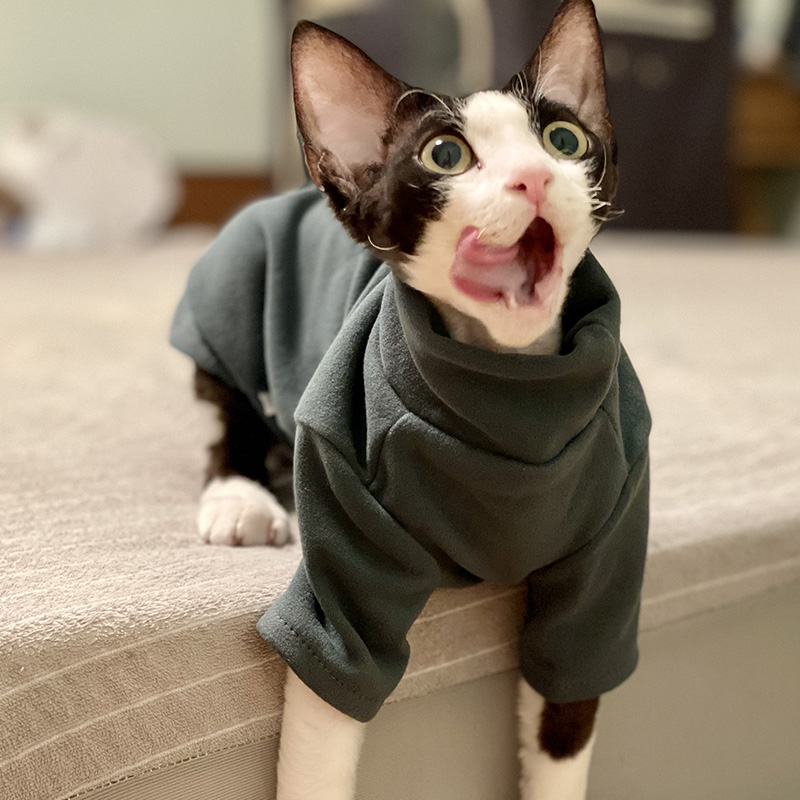 Baju Kucing Dini Hari Baju Anj - Winter Clothing For Toddlers ulasan dan harga