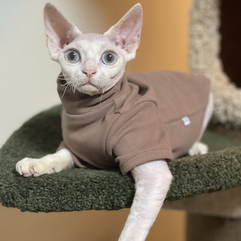 Baju Kucing Dini Hari Baju Anj - Winter Clothing For Toddlers ulasan dan harga